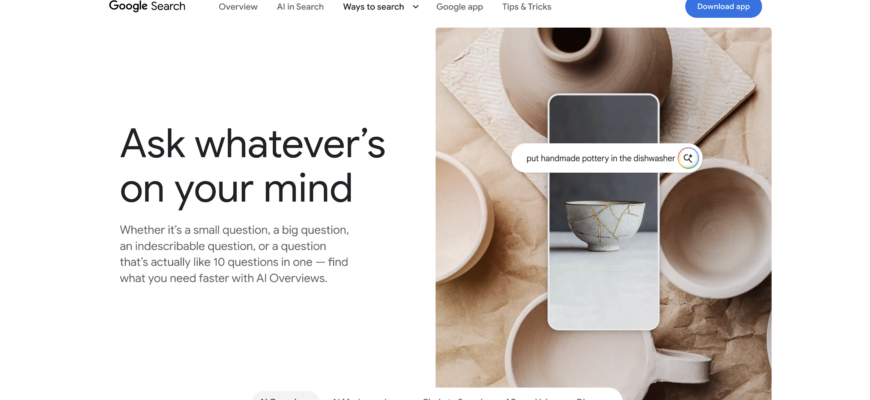 Google AI Overviews